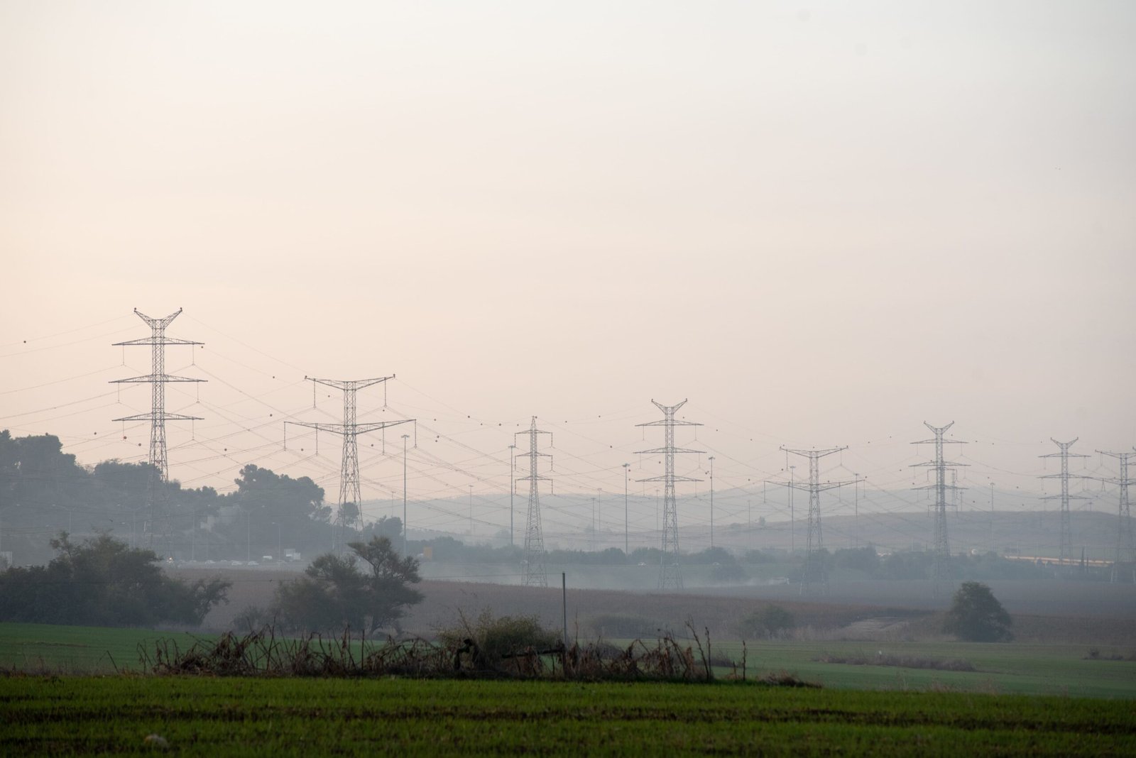 field covered greenery with transmission towers blurry background