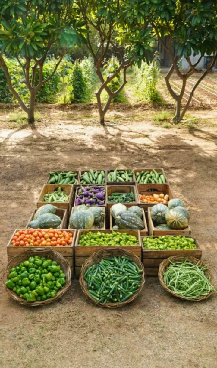 whatsapp image 2026 06 08 at 6.27.22 pm