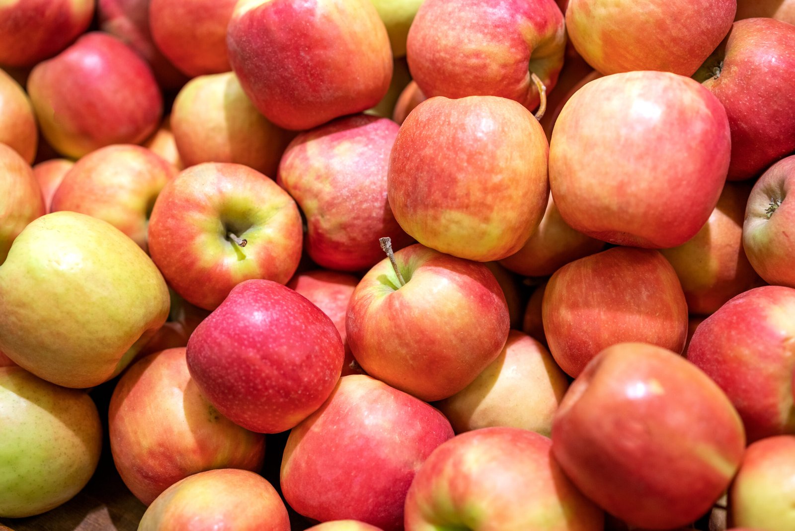 the red fresh apples as a background