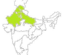 Media Center an outlined map of india all isolated on white background brd6x2